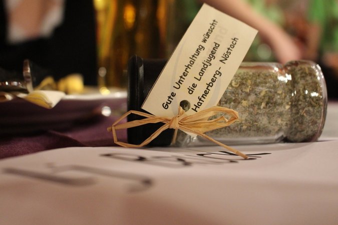 Ball der LJ Hafnerberg/Nöstach