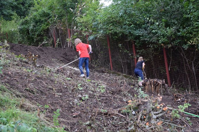 Projektmarathon ganz NÖ