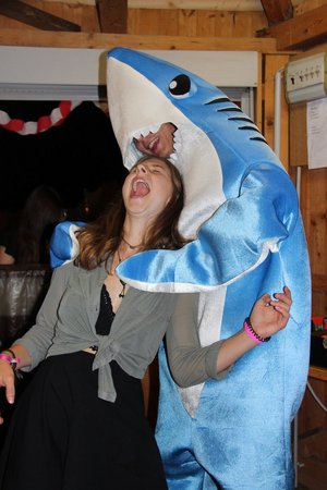 Strandfest der Landjugend Sitzenberg-Reidling