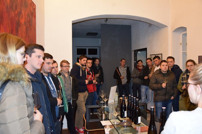 Best of Practice Jungwinzertour West - Weingut Fidesser