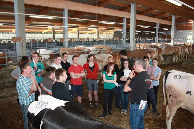 Milchwirtschaftstour - NÖ Rinderzuchtverband