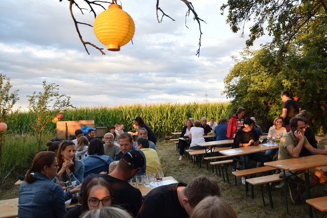 Sommerlounge in der Landjugend Bezirk Ravelsbach