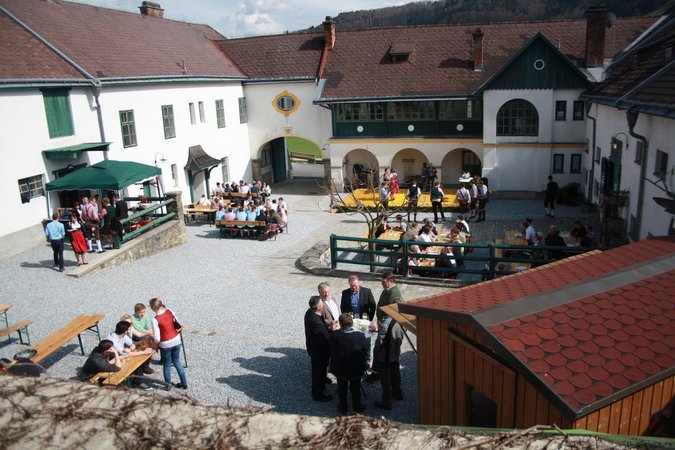 Mostfest im Bezirk Gaming