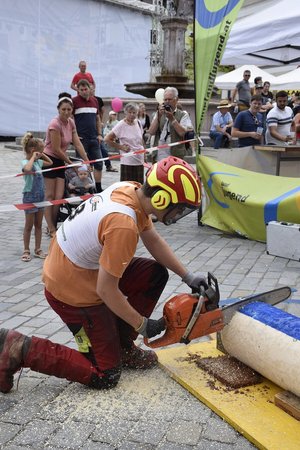 Gebietsentscheid Forst im Mostviertel 2022