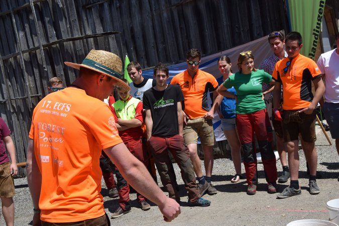 Gebietsentscheid Forst im Mostviertel