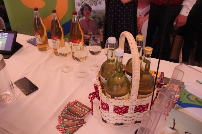 Salon des Mostes 2017