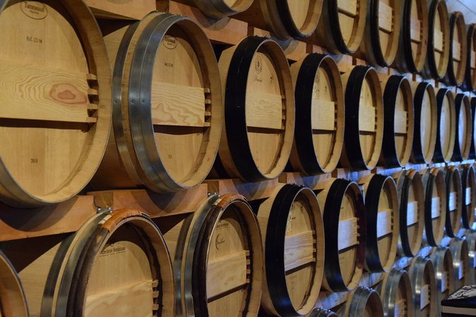 Jungwinzerexkursion in das Burgenland der Landjugend Niederösterreich