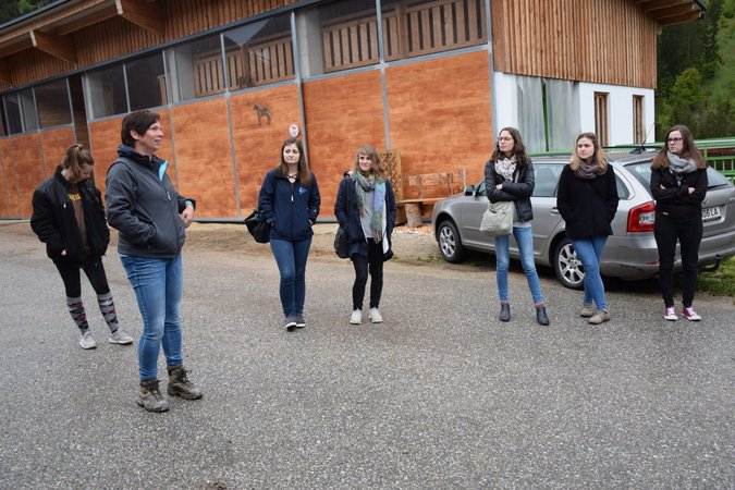 BOP Green Care & Schule am Bauernhof Haslau