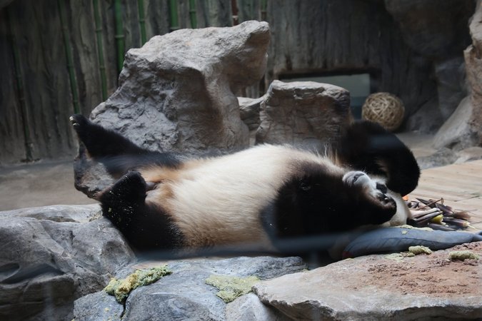 LEX China Haupttermin