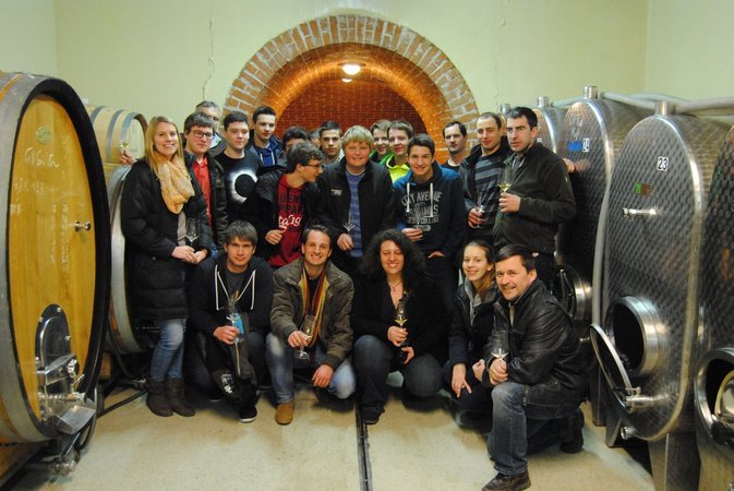 Best of Practice - Jungwinzertour West - Weingut Sigl