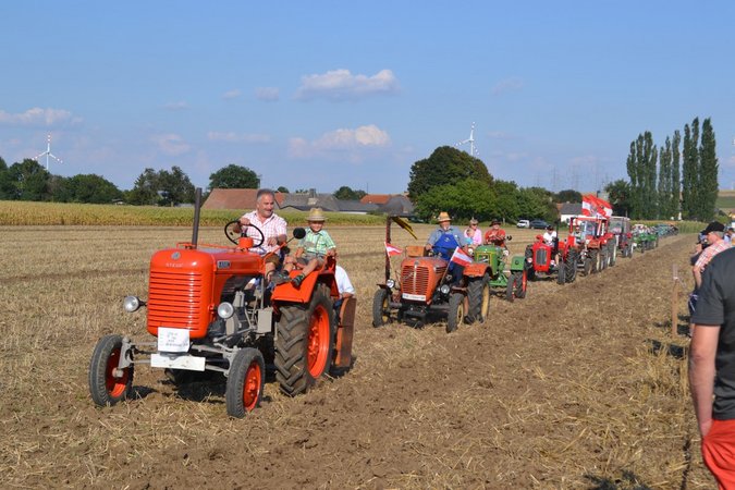 Wettgrubbern im Bezirk Herzogenburg