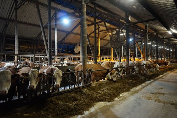 Best of Practice Milch - Tour Pyhra