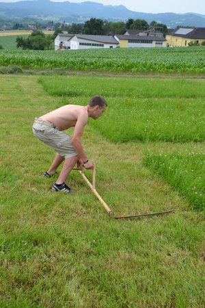 Bezirksentscheid Sensenmähen