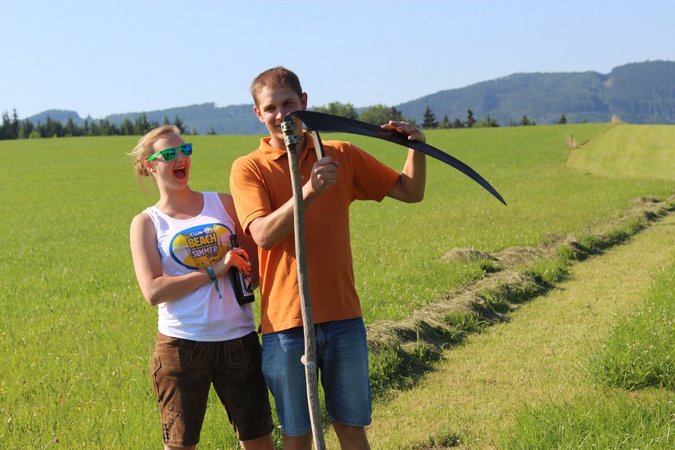 GE Sensenmähen im INV