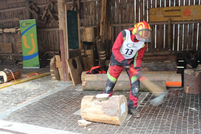 Gebietsentscheid Forst im Waldviertel