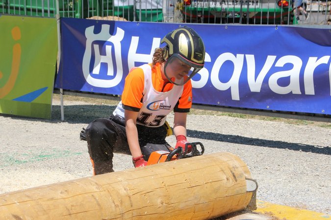 Landesentscheid Forst