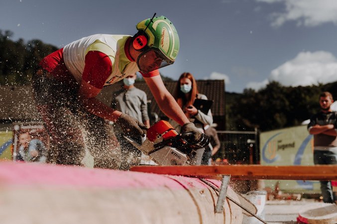 Landesentscheid Forst