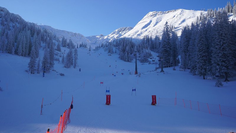 alpine Skimeisterschaften