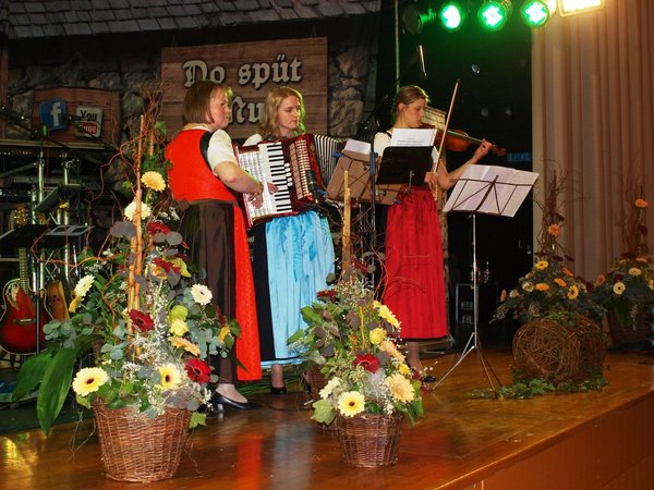 Bezirksball Stockerau - Eintanzen