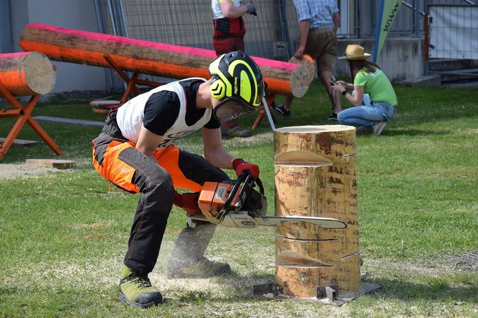 Gebietsentscheid Forst Industrieviertel