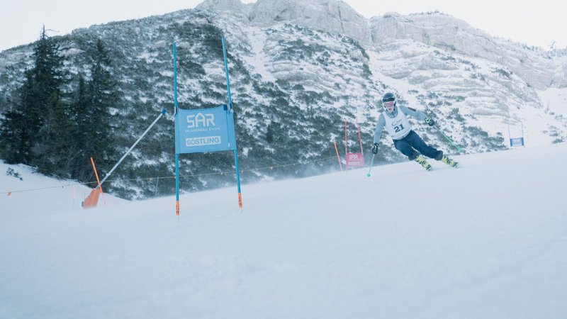 Alpine Skimeisterschaften 2025