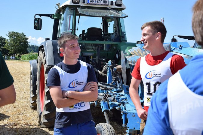 Gebietsentscheid Pflügen im Mostviertel