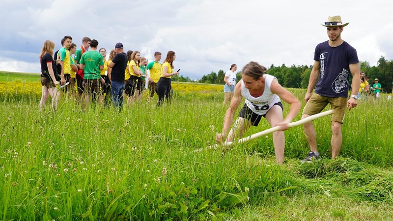Landesentscheid Sensenmähen
