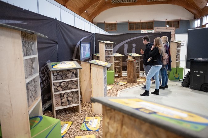 Abschluss der Bienenwette