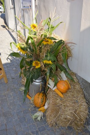 70 Jahr Feier Landjugend Bezirk Raabs an der Thaya