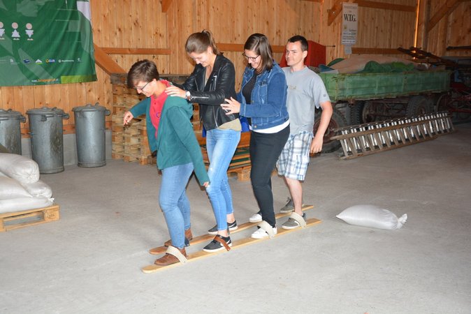 go4it im Bezirk Weitra