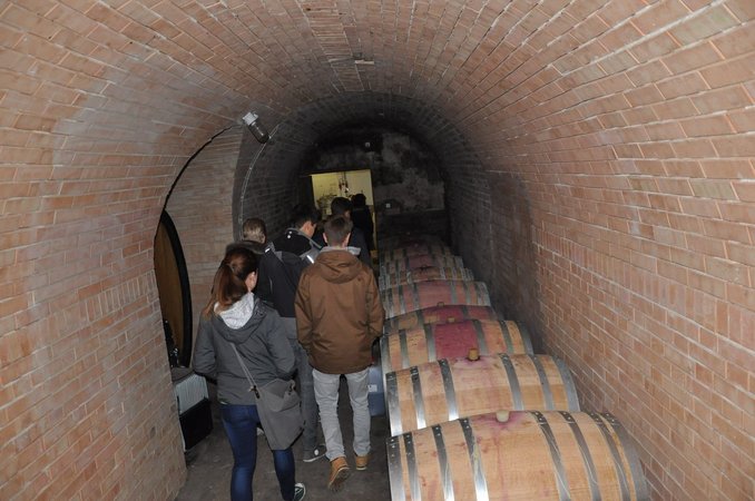 BoP Jungwinzer Tour Nord 1)