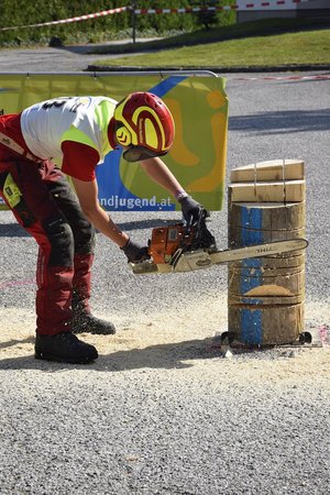 Gebietsentschied Forst im Mostviertel
