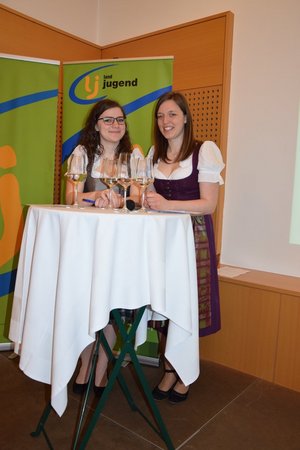 Viertelskonferenz- Mostviertel