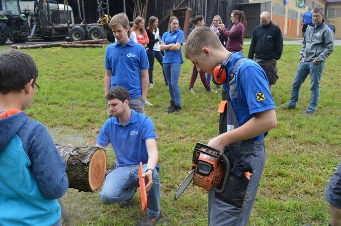Forstwettbewerb im Bezirk Melk
