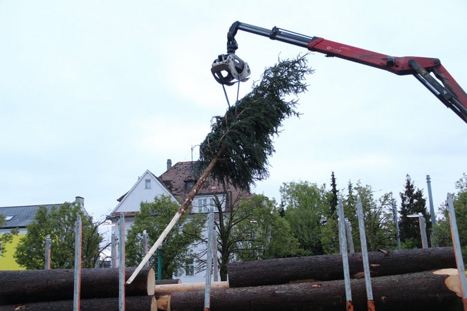 Maibaumsetzen LK St. Pölten