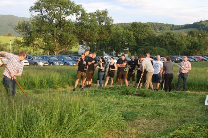 Flutlichtsensenmähen BZ St.Pölten