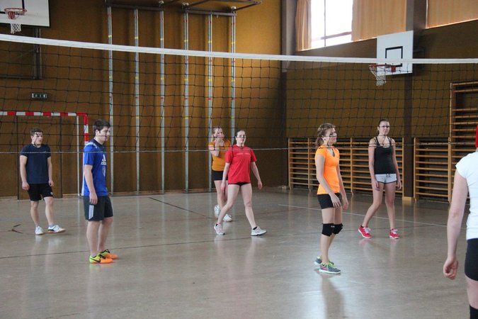 Gebietsentscheid Volleyball im Waldviertel