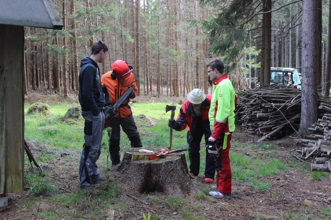 Maibaumsetzen vor der Landwirtschaftskammer