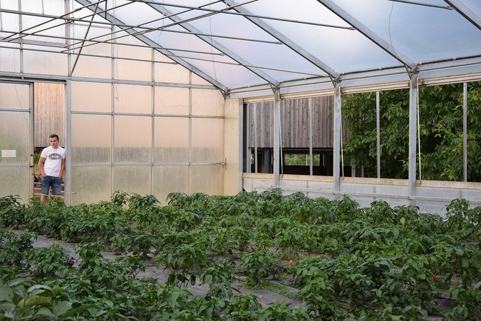 BOP Gemüse am Biohof Leichfried