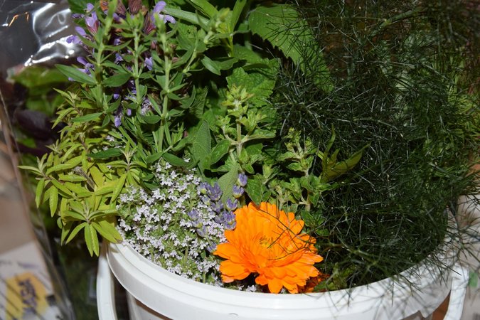 Cocktailkurs der Landjugend Plank am Kamp