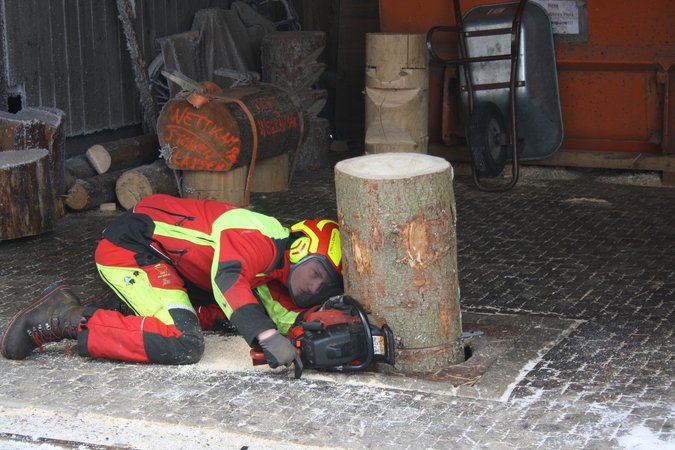 Fit For Forst der Landjugend Waldviertel