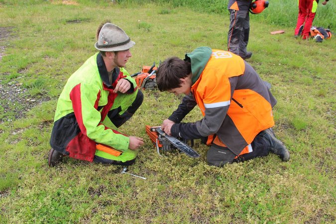 Fit for Forst- Pyhra