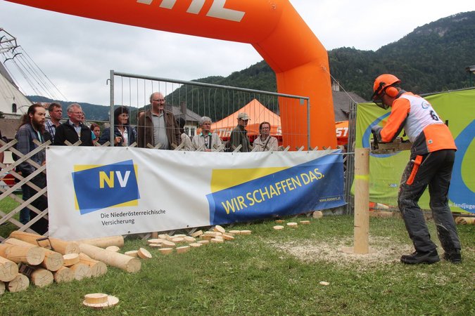 Landesentscheid Forst